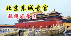 女人性喷水视频中国北京-东城古宫旅游风景区